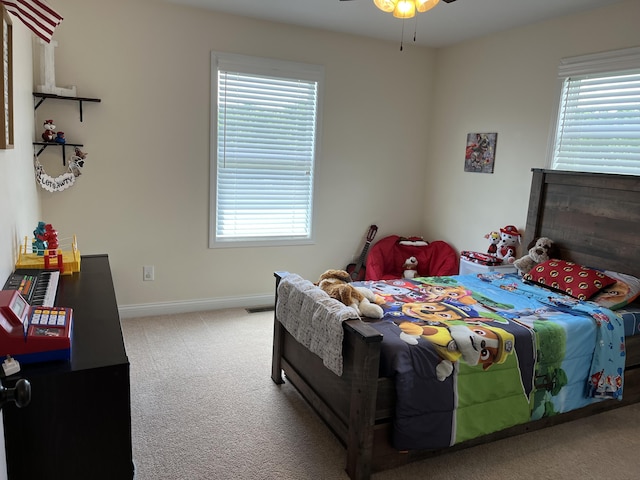 122 Florence Cir, Dandridge, TN 37725 - carpeted bedroom with multiple windows and baseboards