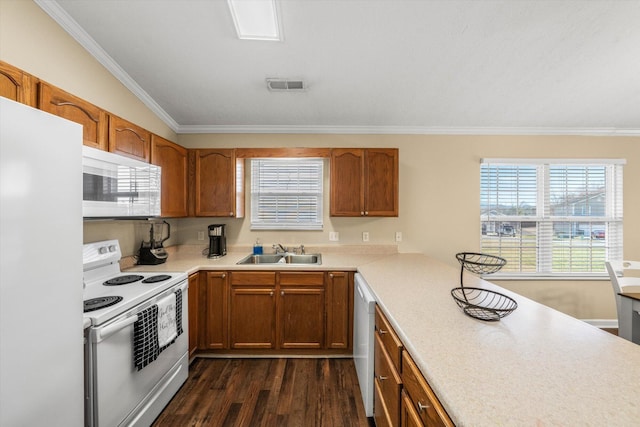 kitchen featuring dark wood finished floors, light countertops, brown cabinetry, a sink, and white appliances