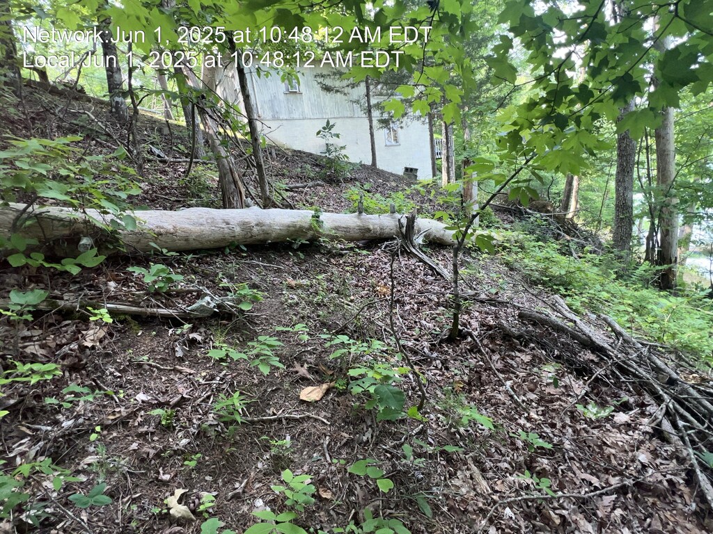 LOT29 Driftwood Cir, Sevierville, TN 37876 - photo 1