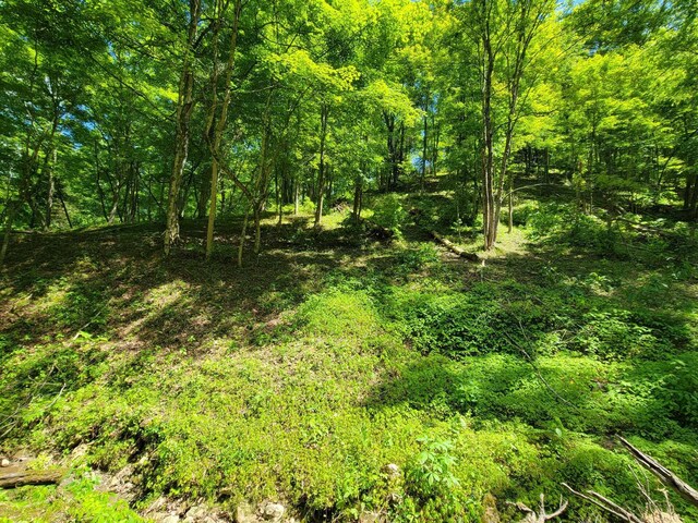 TRACT4 Sandy Valley Rd, Rogersville, TN 37857 - photo 13