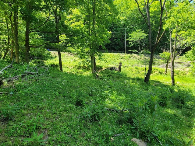 TRACT4 Sandy Valley Rd, Rogersville, TN 37857 - photo 2
