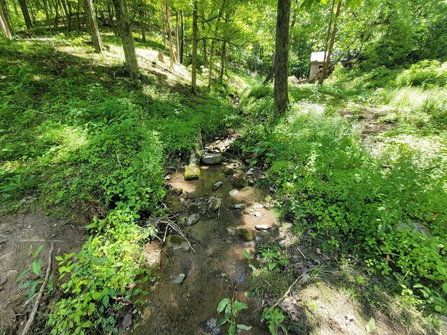TRACT4 Sandy Valley Rd, Rogersville, TN 37857 - photo 15