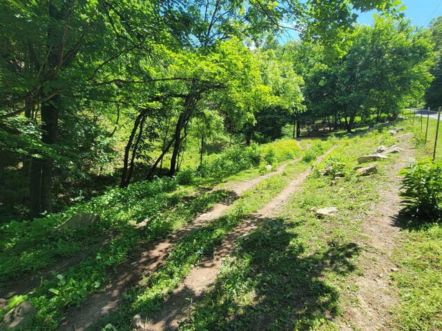 TRACT4 Sandy Valley Rd, Rogersville, TN 37857 - photo 17