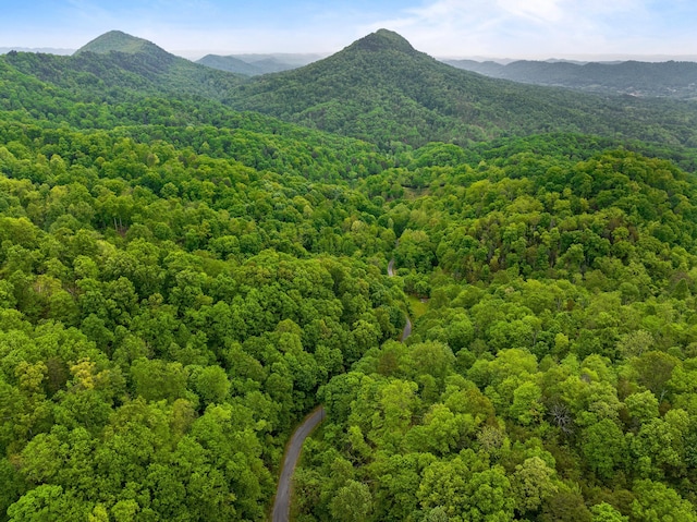 TRACT4 Sandy Valley Rd, Rogersville, TN 37857 - photo 10