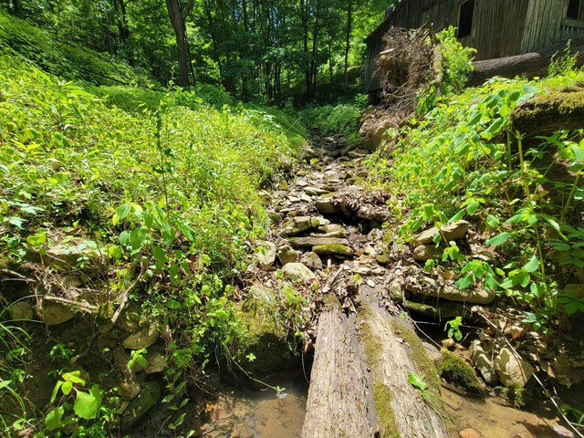 TRACT4 Sandy Valley Rd, Rogersville, TN 37857 - photo 14