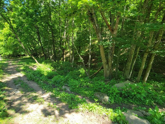 TRACT4 Sandy Valley Rd, Rogersville, TN 37857 - photo 16
