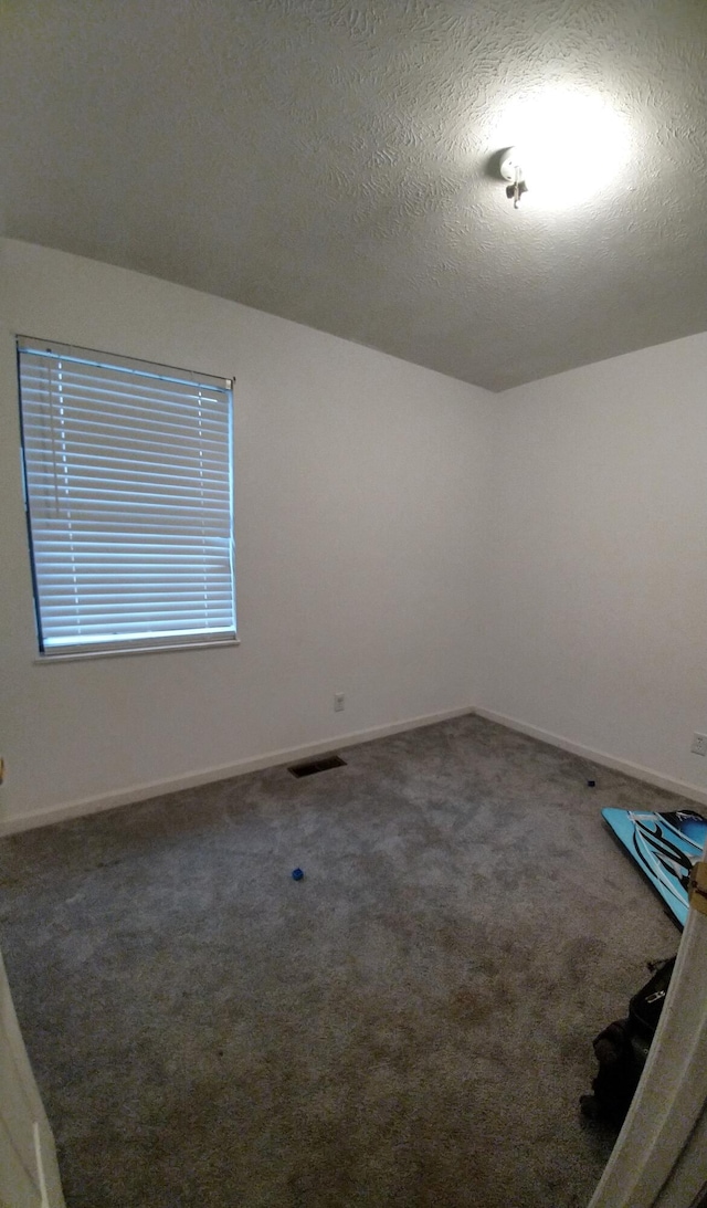 spare room featuring carpet flooring and a textured ceiling