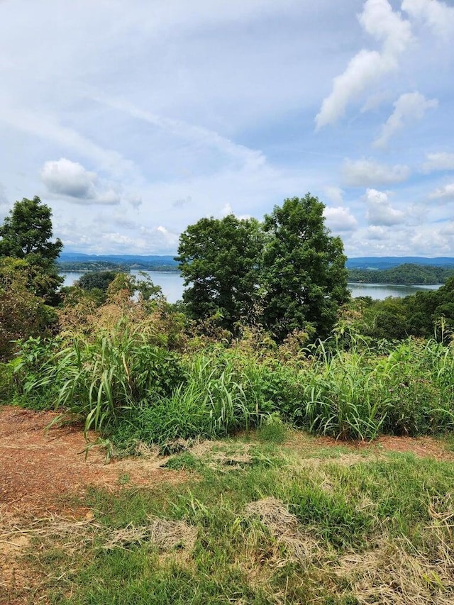 2643 Serenity Sound, Morristown TN, 37814 land for sale