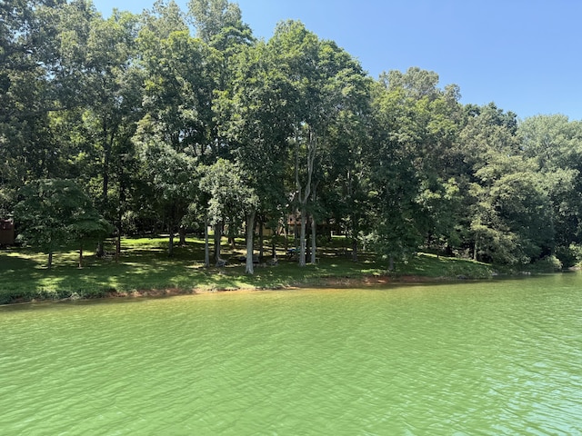 634 Heather Brook Cir, Jefferson City, TN 37760 - photo 8