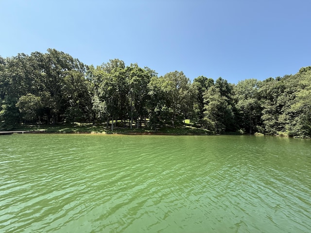 634 Heather Brook Cir, Jefferson City, TN 37760 - photo 7