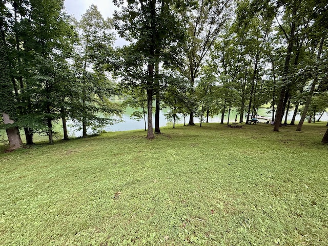 634 Heather Brook Cir, Jefferson City, TN 37760 - photo 40