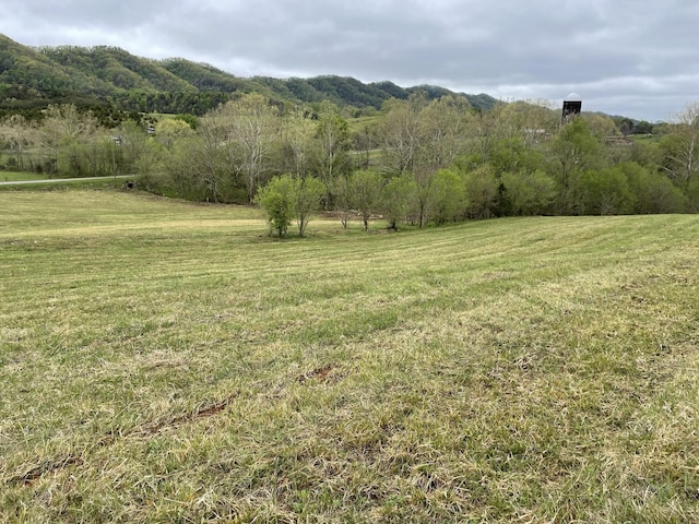 0 Clinch Valley Rd, Eidson TN, 37731 land for sale