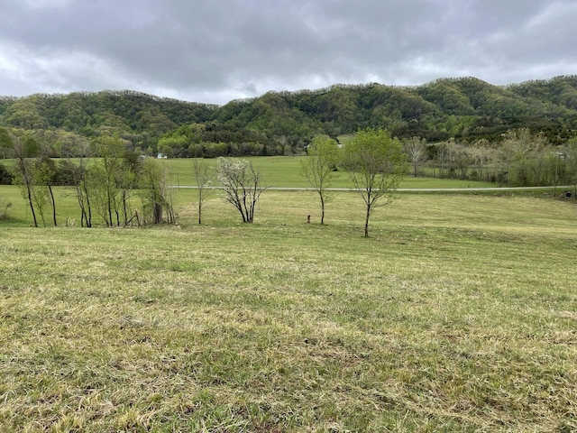 Listing photo 2 for 0 Clinch Valley Rd, Eidson TN 37731