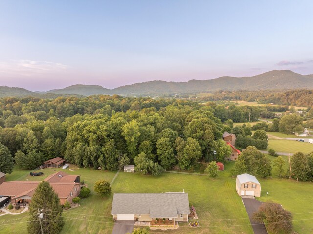 3138 Laurelwood Ln, Sevierville, TN 37862 - photo 32
