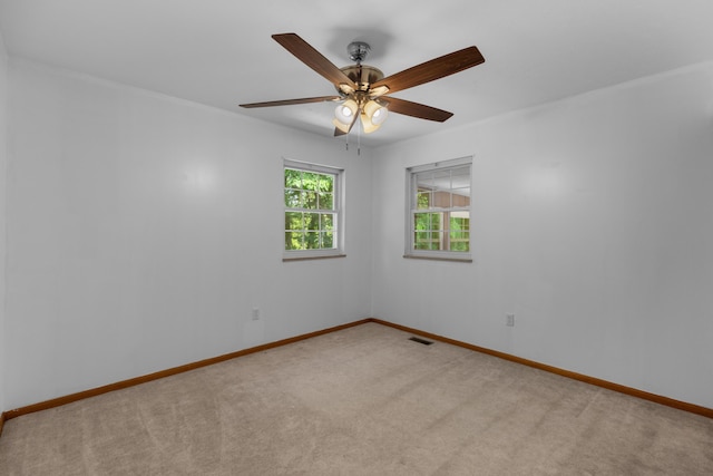 353 Nancy Dr, Jefferson City, TN 37760 - photo 13