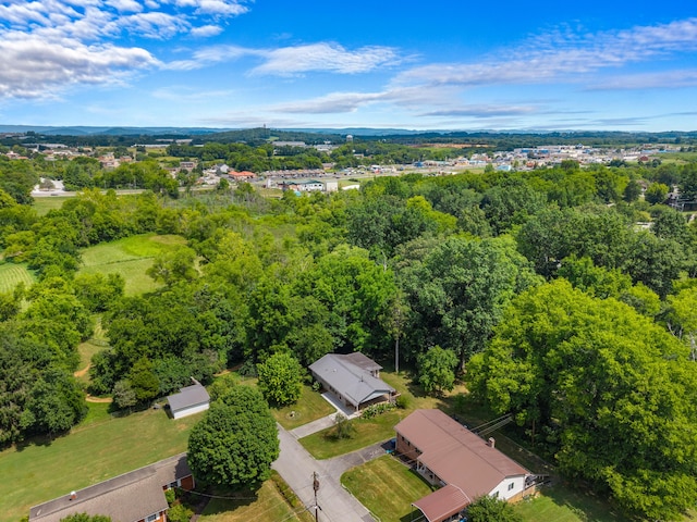 353 Nancy Dr, Jefferson City, TN 37760 - photo 36