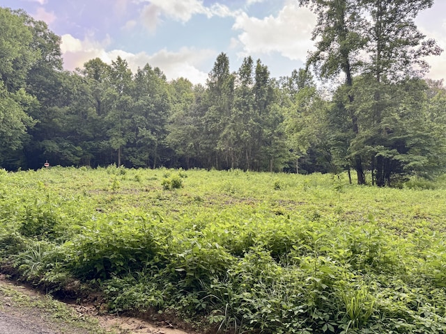 O Lark Rd, Newport, TN 37821 - photo 2