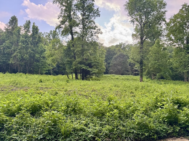 O Lark Rd, Newport, TN 37821 - photo 1
