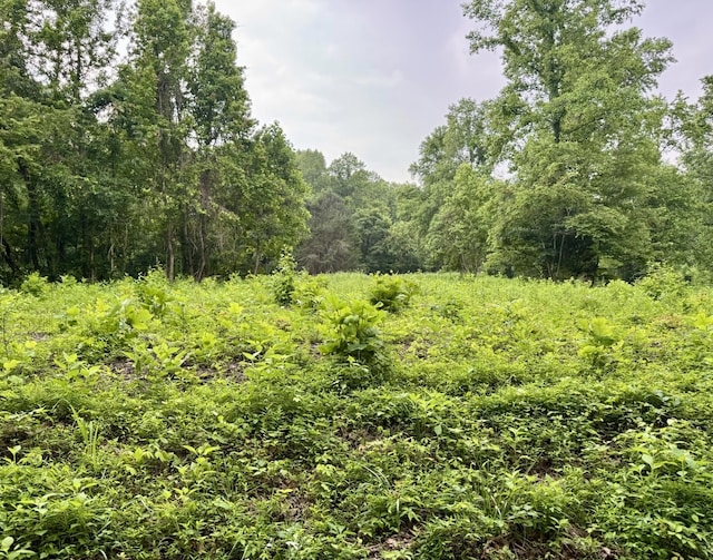 O Lark Rd, Newport, TN 37821 - photo 5