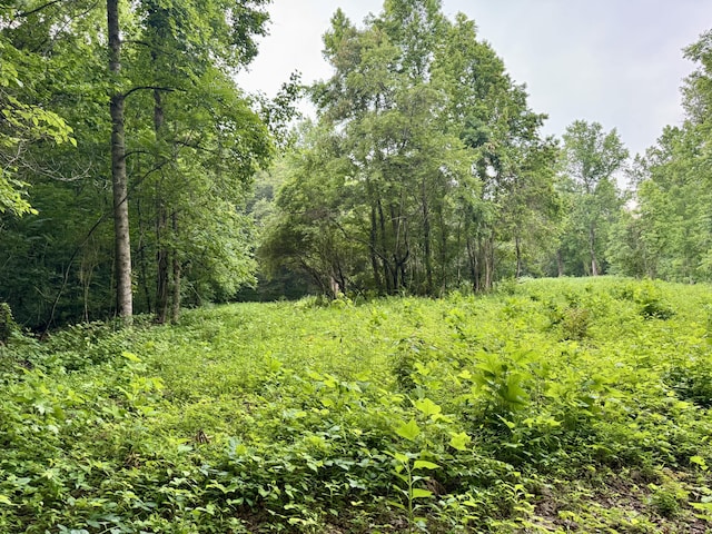 O Lark Rd, Newport, TN 37821 - photo 4