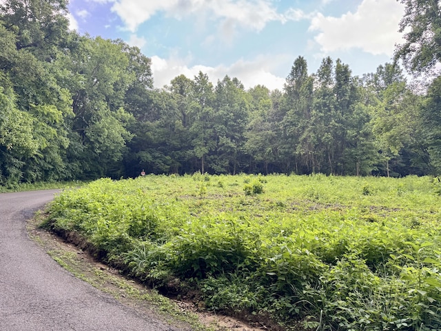 O Lark Rd, Newport, TN 37821 - photo 6
