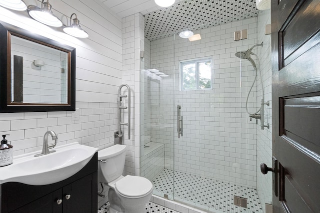 full bath featuring vanity, a shower stall, and toilet
