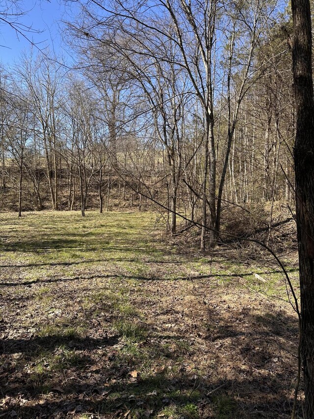 24.265 S Mohawk Rd, Midway, TN 37809