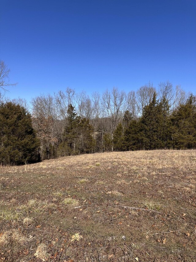 24.265 S Mohawk Rd, Midway, TN 37809