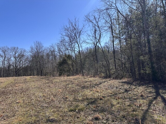 24.265 S Mohawk Rd, Midway, TN 37809