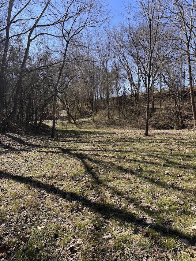 24.265 S Mohawk Rd, Midway, TN 37809