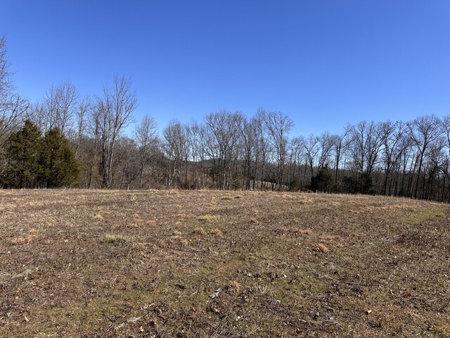 24.265 S Mohawk Rd, Midway, TN 37809