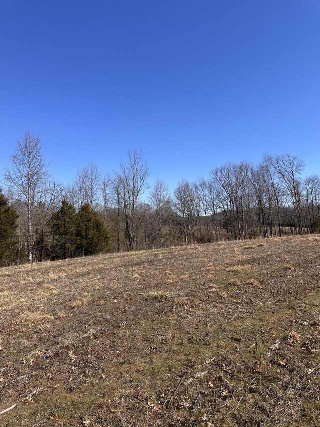 24.265 S Mohawk Rd, Midway, TN 37809