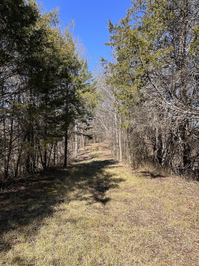 24.265 S Mohawk Rd, Midway, TN 37809