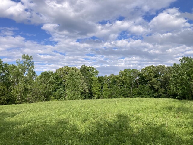 24.265 S Mohawk Rd, Midway, TN 37809