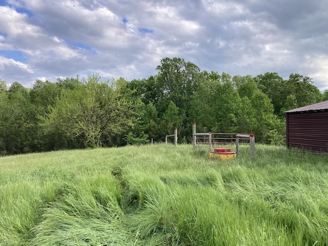 24.265 S Mohawk Rd, Midway, TN 37809