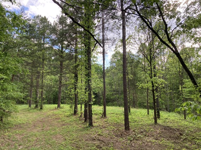 24.265 S Mohawk Rd, Midway, TN 37809