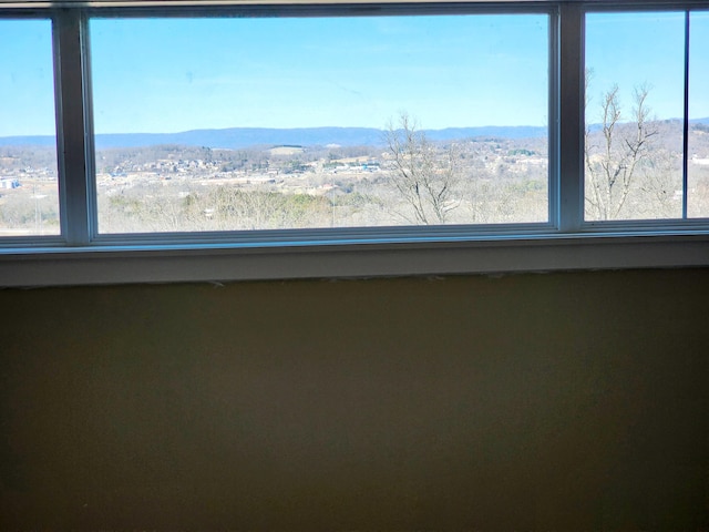room details with a mountain view