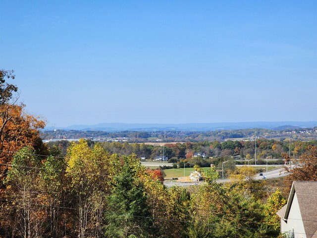 view of mountain feature