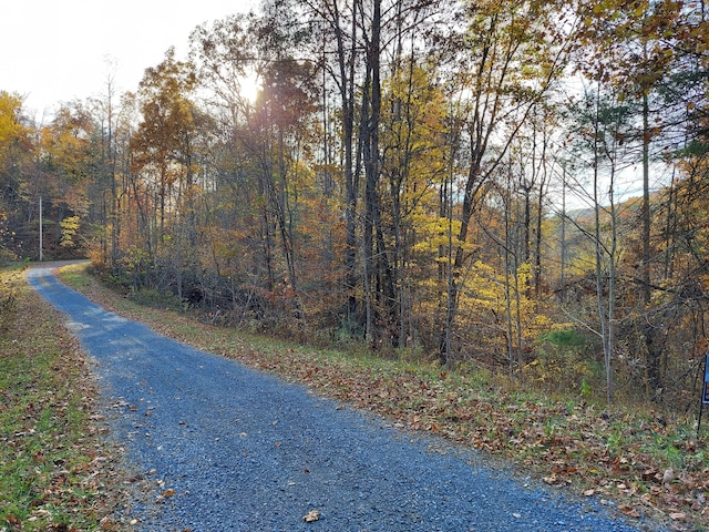 1.76ACRES Sugar Maple Way, Del Rio, TN 37727