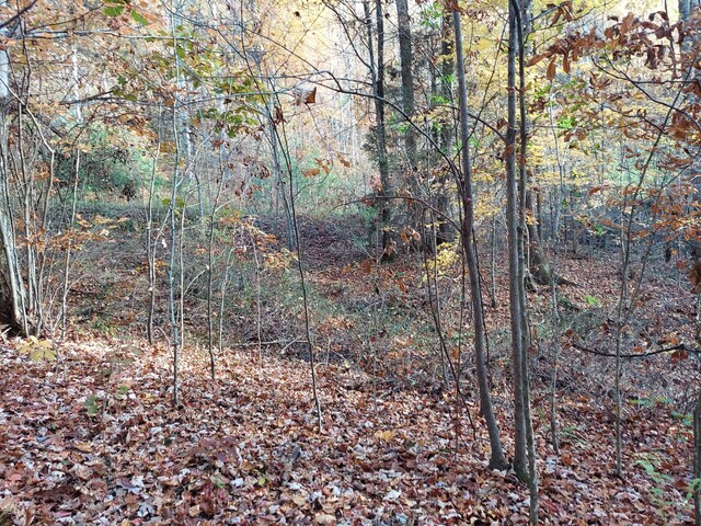1.76ACRES Sugar Maple Way, Del Rio, TN 37727