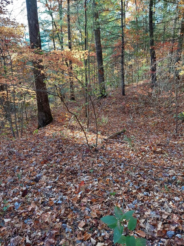1.76ACRES Sugar Maple Way, Del Rio, TN 37727