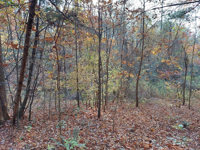 1.76ACRES Sugar Maple Way, Del Rio, TN 37727