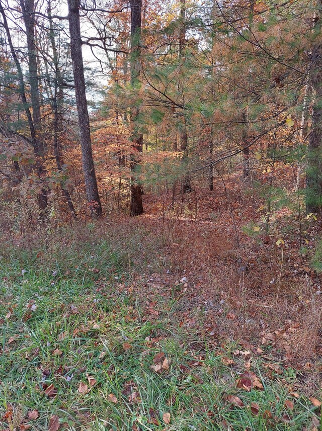 1.76ACRES Sugar Maple Way, Del Rio, TN 37727