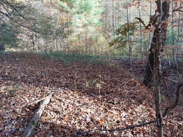 1.76ACRES Sugar Maple Way, Del Rio, TN 37727