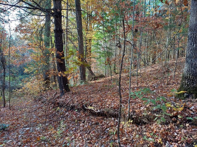 1.76ACRES Sugar Maple Way, Del Rio, TN 37727