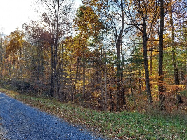 1.76ACRES Sugar Maple Way, Del Rio, TN 37727