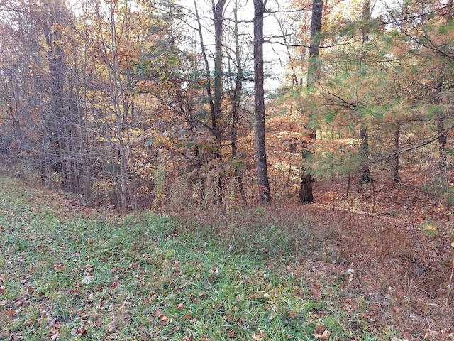 1.76ACRES Sugar Maple Way, Del Rio, TN 37727
