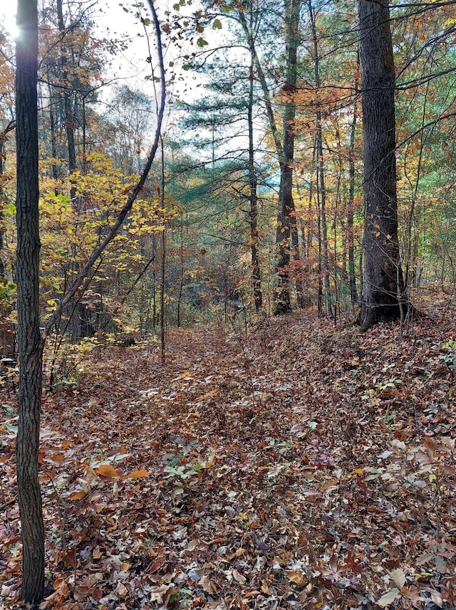 1.76ACRES Sugar Maple Way, Del Rio, TN 37727
