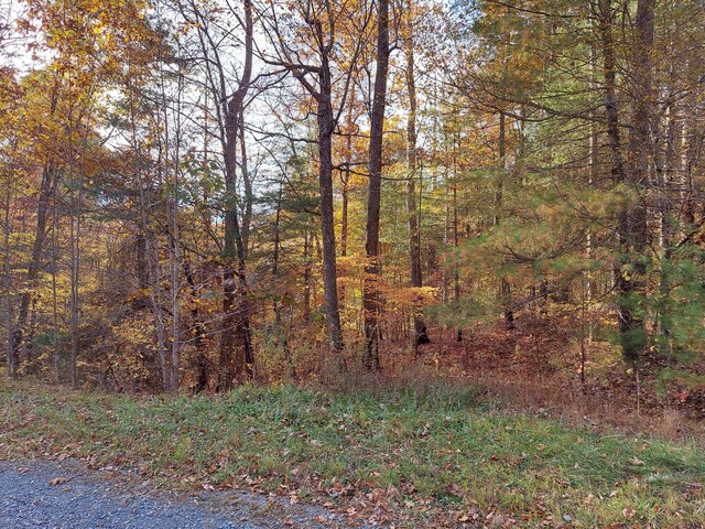 1.76ACRES Sugar Maple Way, Del Rio, TN 37727