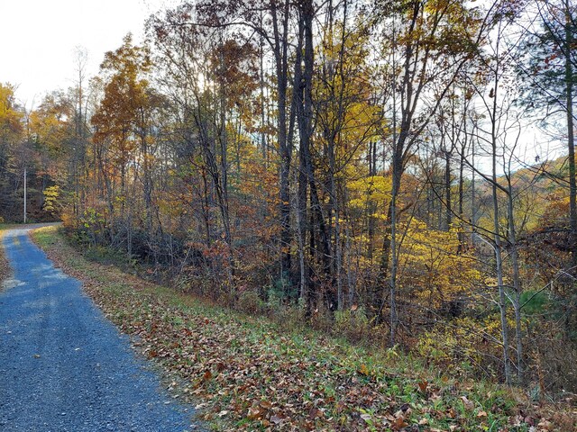 1.76ACRES Sugar Maple Way, Del Rio, TN 37727